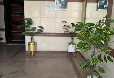 Apartments For sale - 3 rooms - floor 4