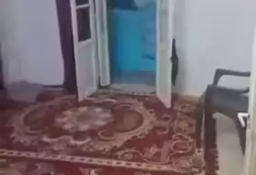 Apartments For sale - 3 rooms - floor 1