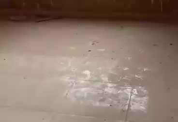 Apartments For sale - 3 rooms - floor 6