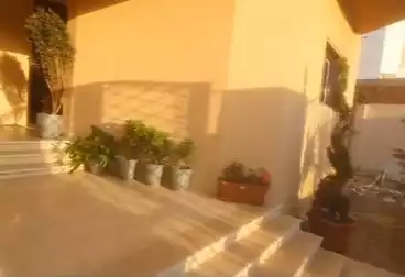 Apartments For rent - 3 rooms - floor 0