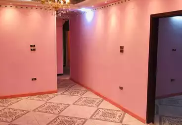 شقق للبيع - 3 غرف - بالدور 1