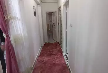 Apartments For rent - 3 rooms - floor 1