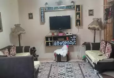 شقق للبيع - 2 غرف - بالدور 4