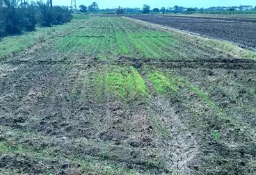 Farm For sale