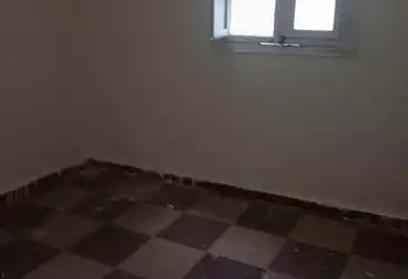 Apartments For rent - 3 rooms - floor 7