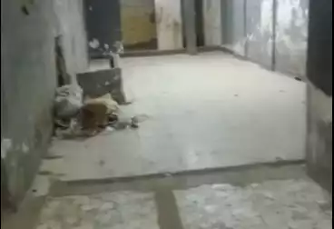 Commercial For rent - floor 0