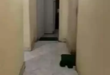 undefined undefined - 2 rooms - floor 8