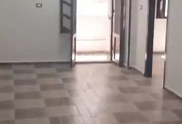 شقق للبيع - 3 غرف - بالدور 8