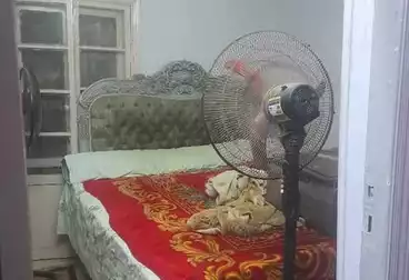 Apartments For sale - 2 rooms - floor 2