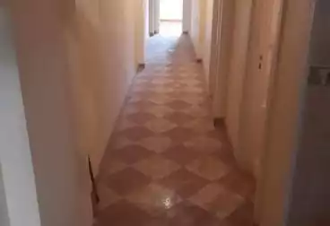 Apartments For rent - 3 rooms - floor 5