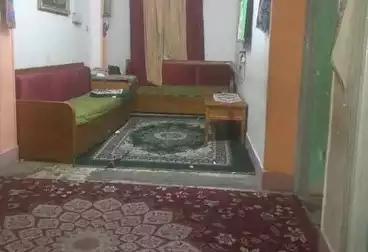 شقق للبيع - 2 غرف - بالدور 2