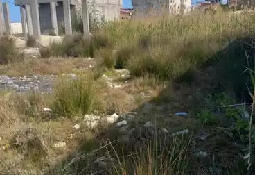 أراضي للبيع