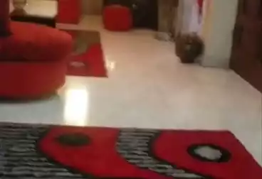 Apartments For sale - 3 rooms - floor 6