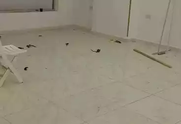 Shops For rent - floor 1