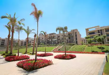 Apartments For rent - 3 rooms - floor 1