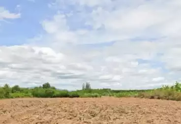 Farm For sale