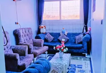 Apartments For rent - 3 rooms - floor 6