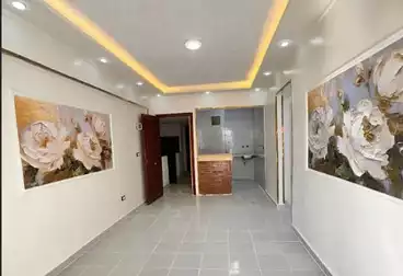 شقق للبيع - 2 غرف - بالدور 4