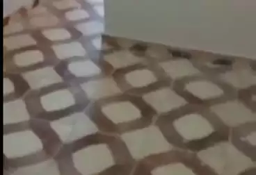 Apartments For sale - 2 rooms - floor 2