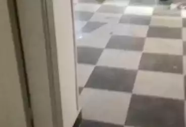 undefined undefined - 2 rooms - floor 7