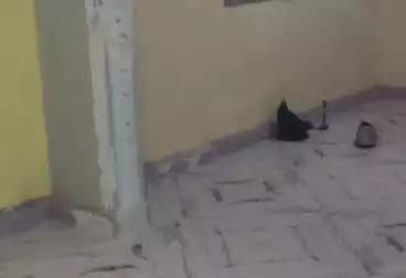 undefined undefined - 2 rooms - floor 6