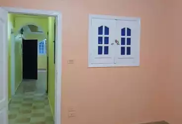 Properties For rent - 3 rooms - floor 1