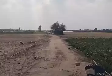 Farm For sale