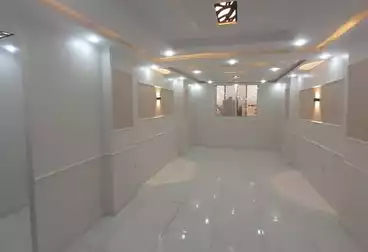 شقق للبيع - 3 غرف - بالدور 10