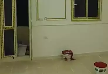 شقق للبيع - 3 غرف - بالدور 1