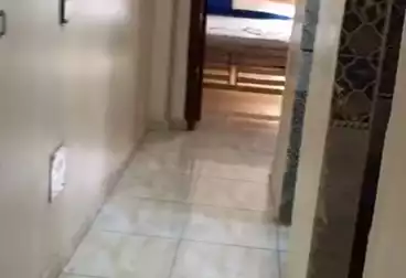 Apartments For rent - 3 rooms - floor 5