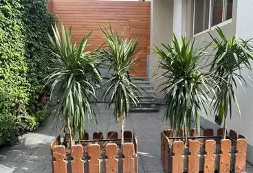 Apartments For rent - 1 rooms - floor 0
