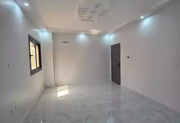 Properties For rent - 3 rooms - floor 1