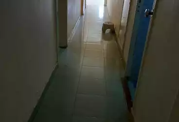 Apartments For rent - 3 rooms - floor 3