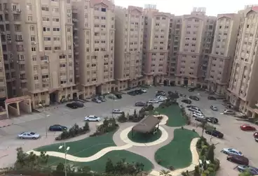 شقق للبيع - 3 غرف - بالدور 8
