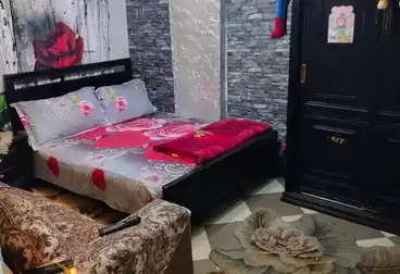 undefined undefined - 3 rooms - floor 1