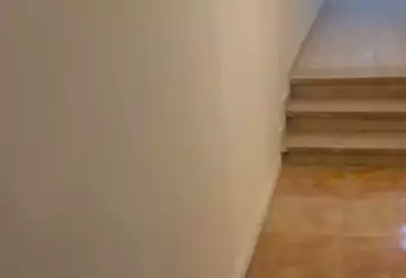 Apartments For rent - 3 rooms - floor 5