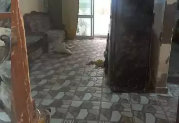Apartments For sale - 1 rooms - floor 3
