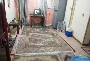 undefined undefined - 2 rooms - floor 1