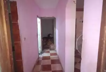 شقق للبيع - 2 غرف - بالدور 2