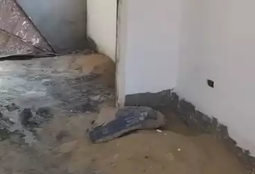 شقق للبيع - 3 غرف - بالدور 4