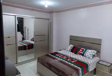 Furnished Apartment For rent