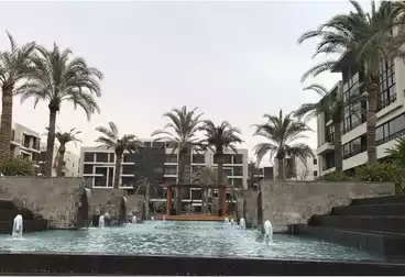 شقق للبيع - 2 غرف - بالدور 0