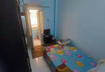 Apartments For sale - 3 rooms - floor 1