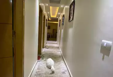 undefined undefined - 3 rooms - floor 0