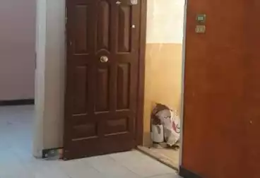 Apartments For rent - 3 rooms - floor 3
