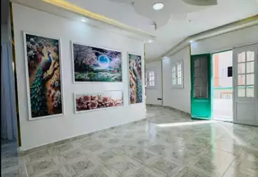 شقق للبيع - 2 غرف - بالدور 0