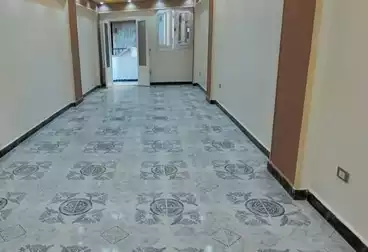 شقق للبيع - 3 غرف - بالدور 1