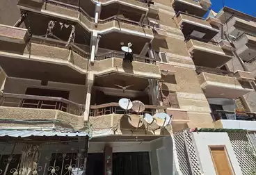 شقق للبيع - 2 غرف - بالدور 1