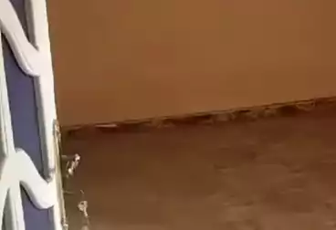 عقارات للبيع - 2 غرف - بالدور 8