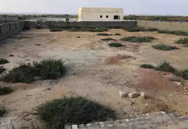 أراضي للبيع